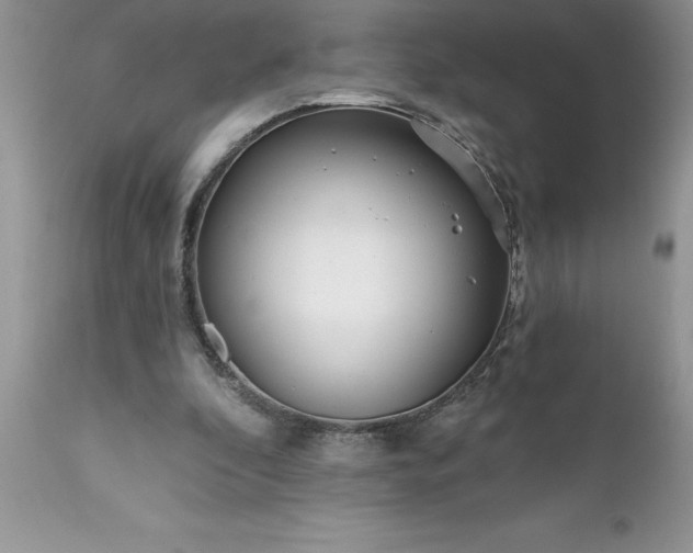 X0000111790296200907301152