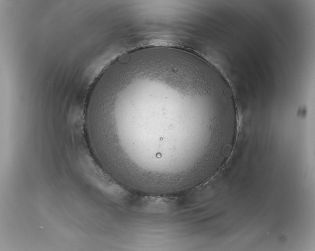 X0000111790297200907301152