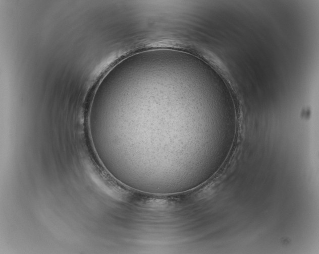 X0000111790298200907301152