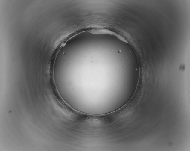 X0000111790299200907301152