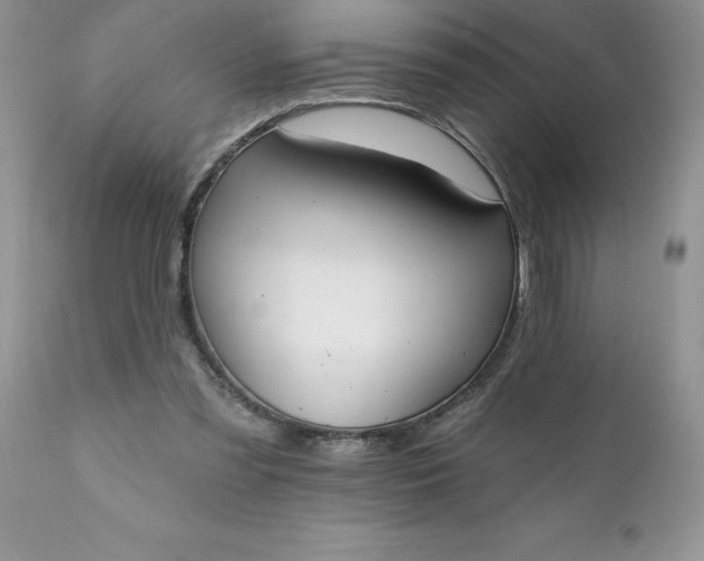 X0000111790301200907301152