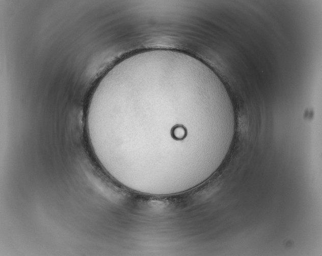 X0000111790302200907301152