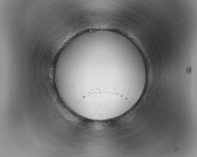 X0000111790305200907301152