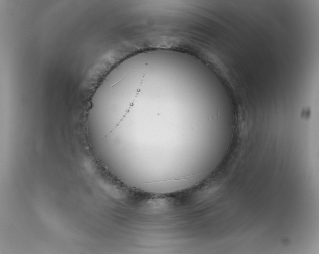 X0000111790307200907301151