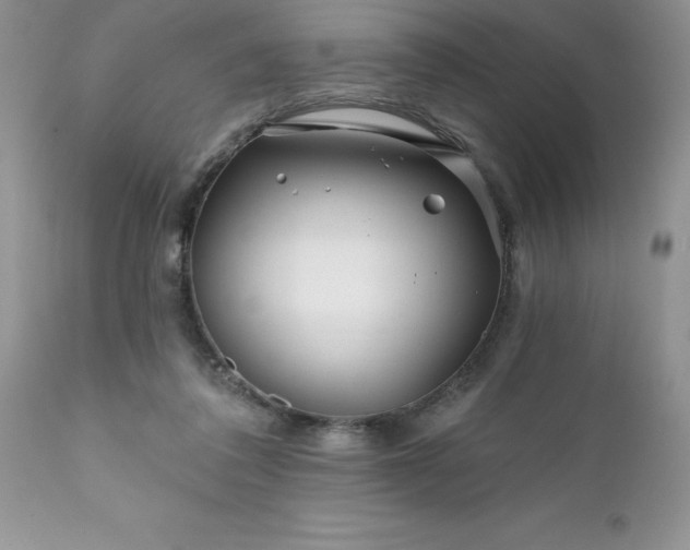 X0000111790308200907301151