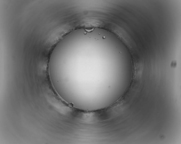 X0000111790309200907301151