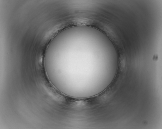 X0000111790310200907301151