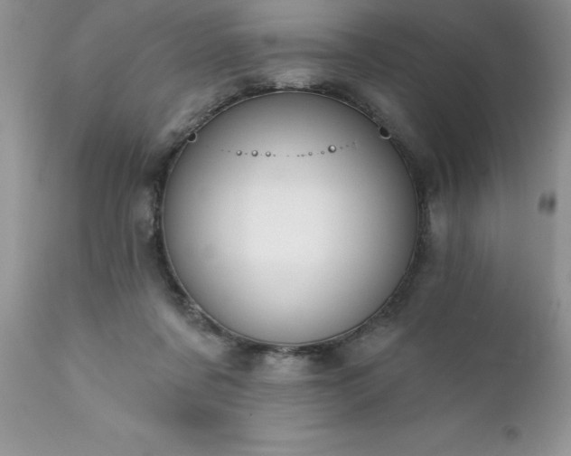 X0000111790311200907301151