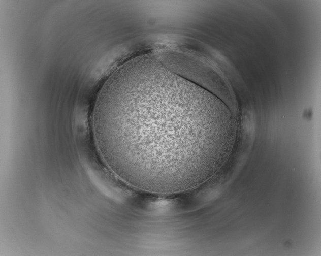 X0000111790312200907301151