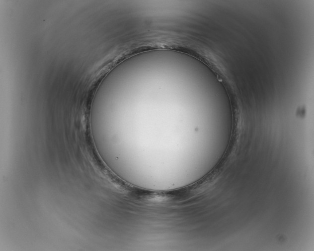 X0000111790313200907301151