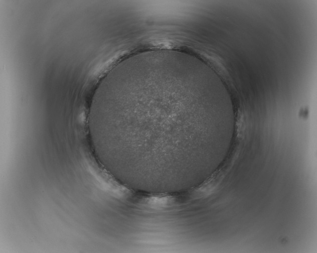 X0000111790314200907301151