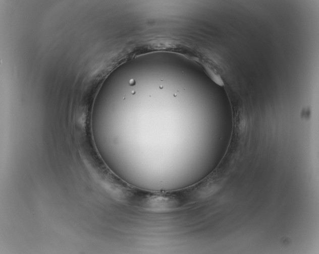 X0000111790315200907301151