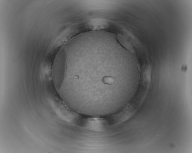 X0000111790316200907301151