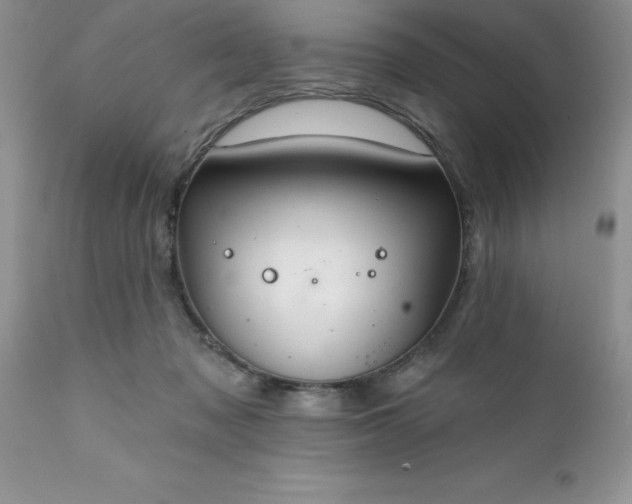 X0000111790317200907301151