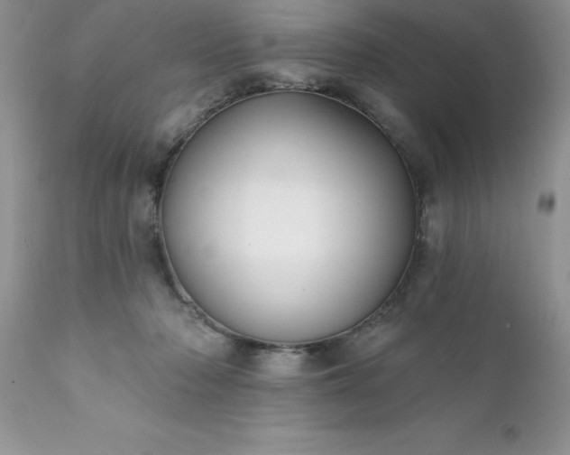 X0000111790318200907301151