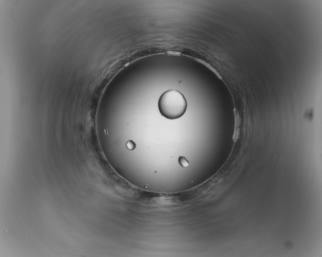 X0000111790320200907301151