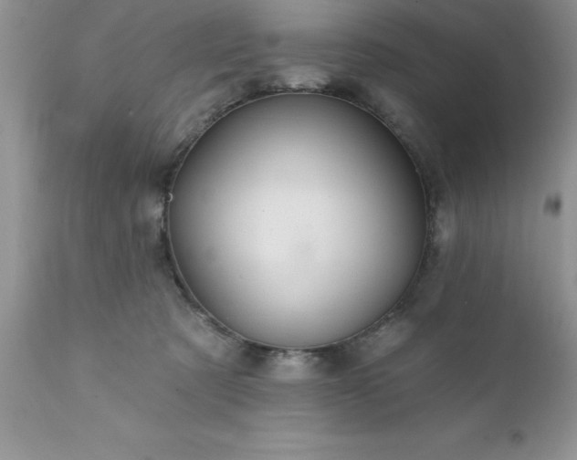 X0000111790321200907301151