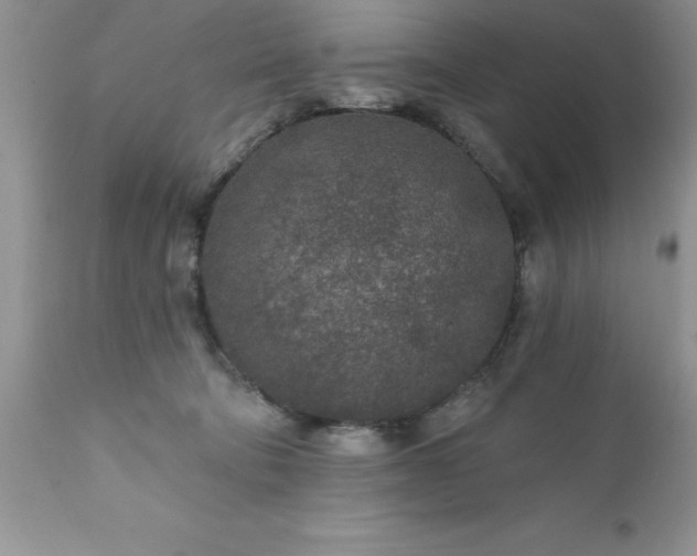 X0000111790322200907301151