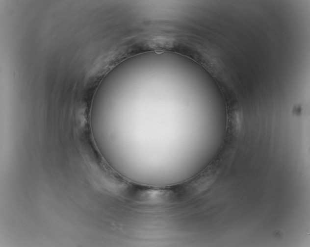 X0000111790323200907301151