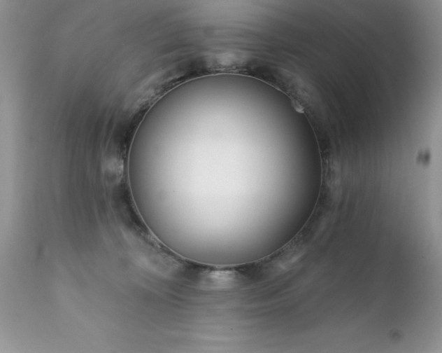 X0000111790324200907301151