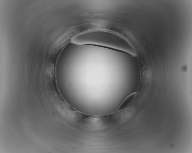 X0000111790325200907301151