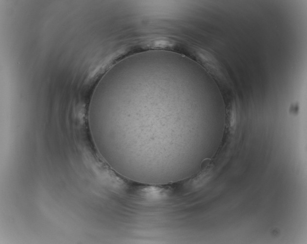 X0000111790326200907301151