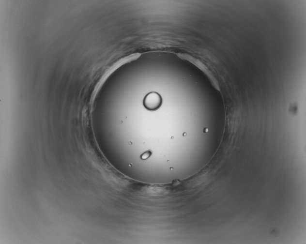 X0000111790327200907301151