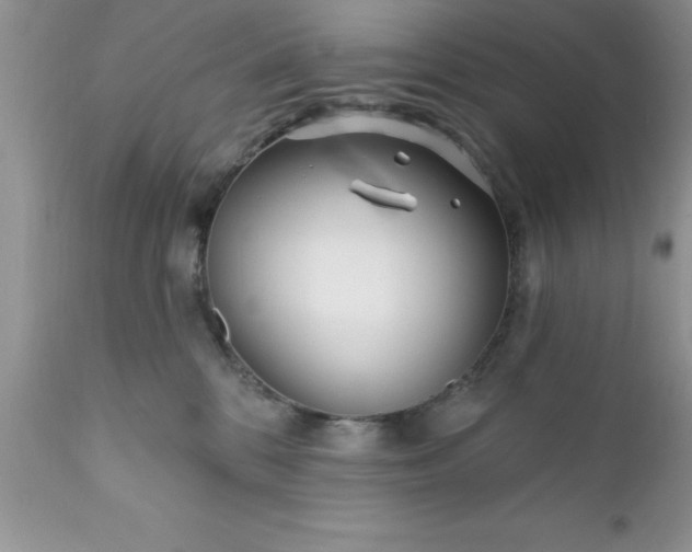 X0000111790328200907301151