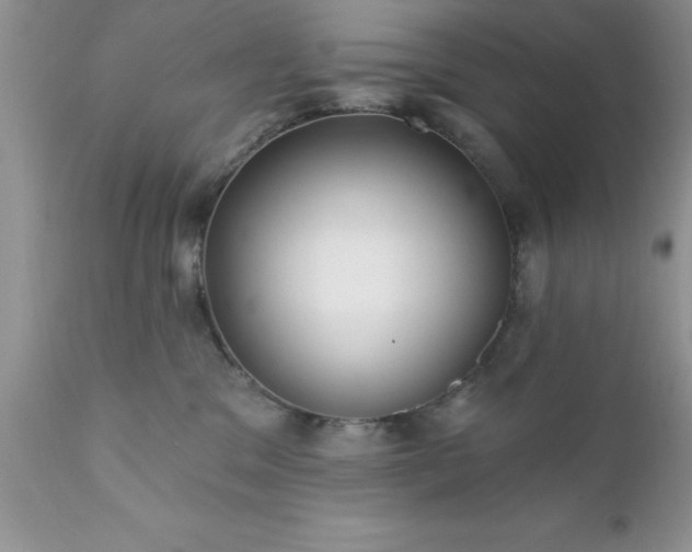 X0000111790329200907301151