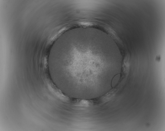 X0000111790330200907301151