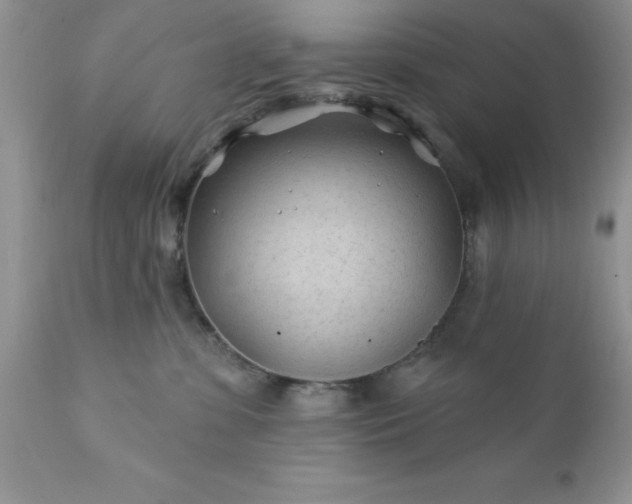 X0000111790331200907301151