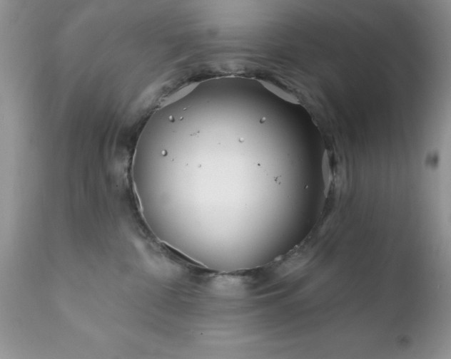 X0000111790332200907301151