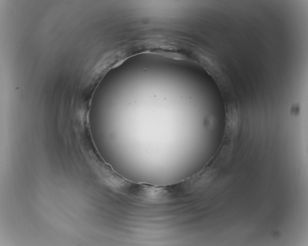 X0000111790333200907301151