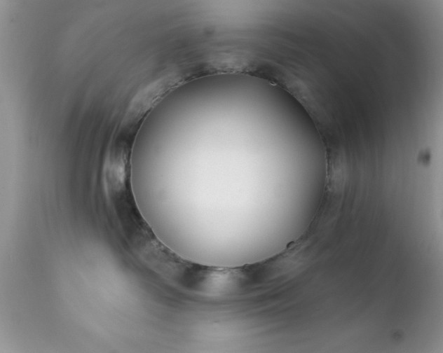 X0000111790334200907301151