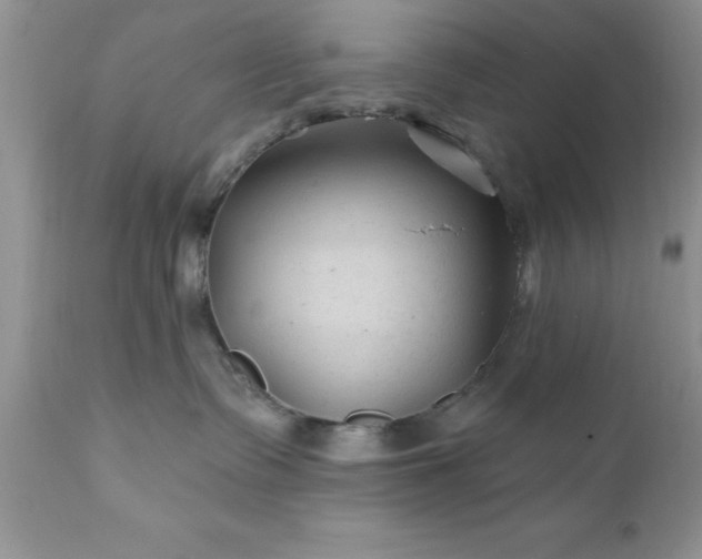 X0000111790335200907301151