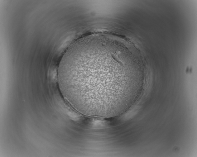 X0000111790336200907301151