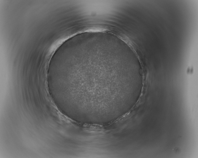 X0000111790337200907301150