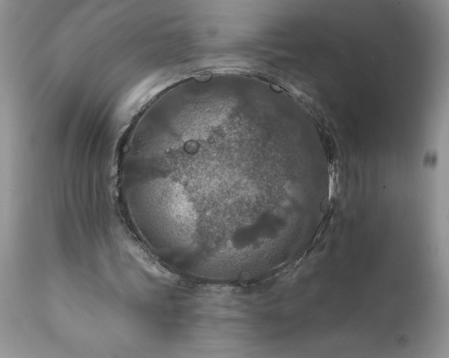 X0000111790339200907301150