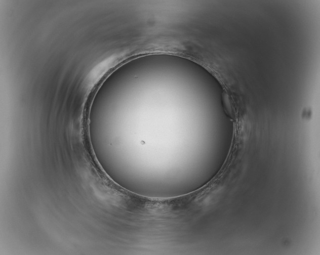 X0000111790340200907301150