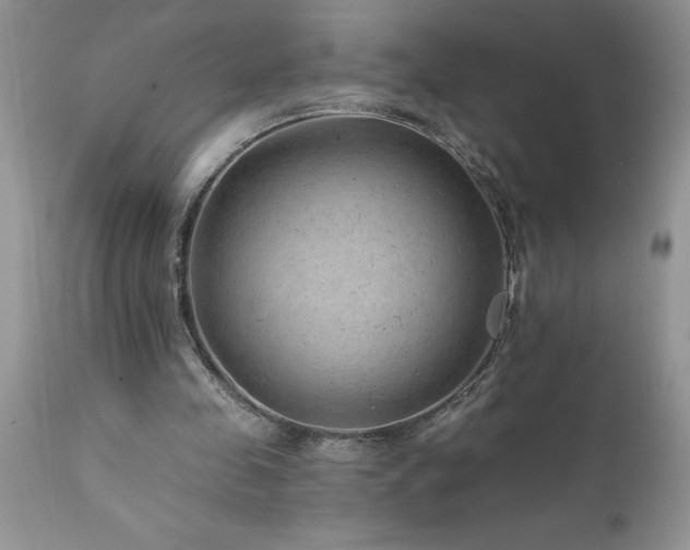 X0000111790341200907301150