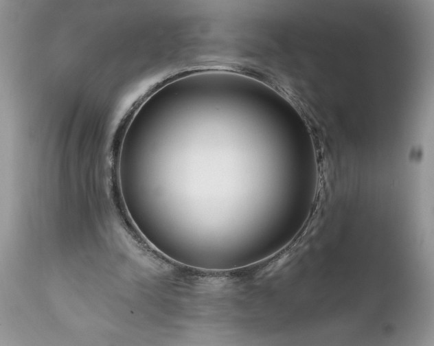 X0000111790342200907301150