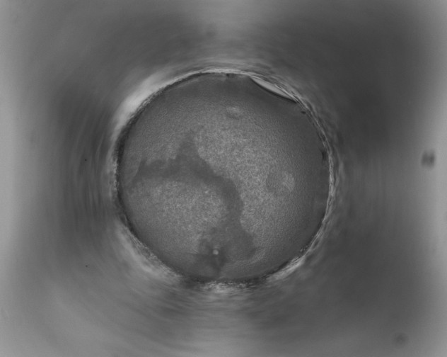 X0000111790343200907301150