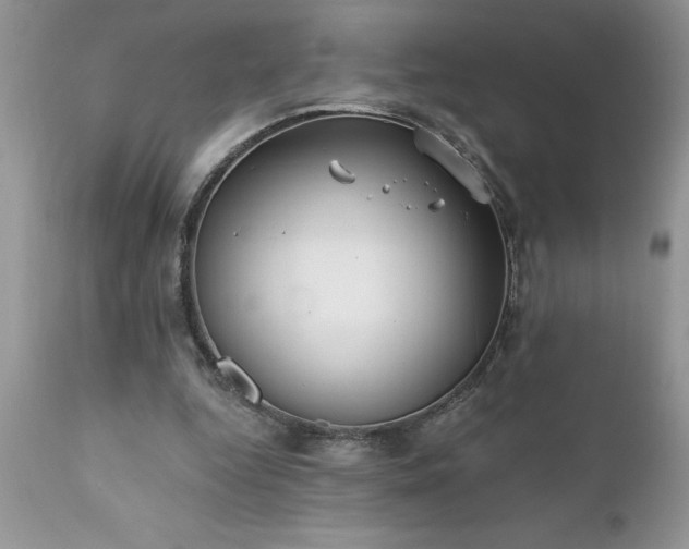 X0000111790344200907301150