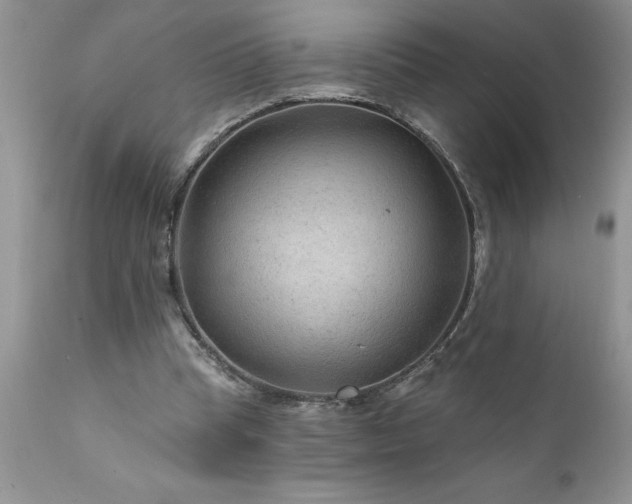 X0000111790345200907301150