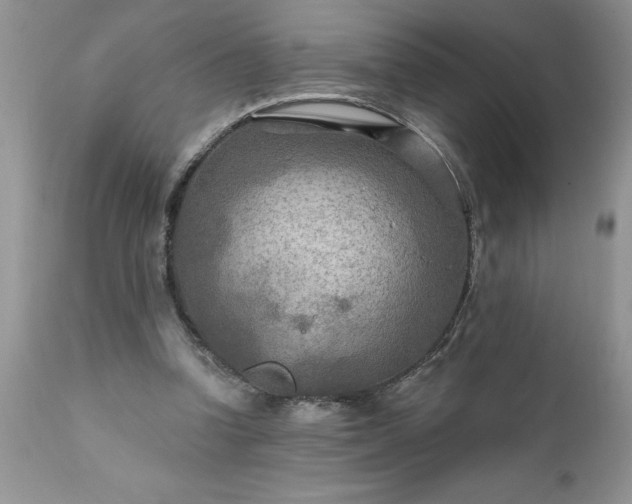 X0000111790346200907301150