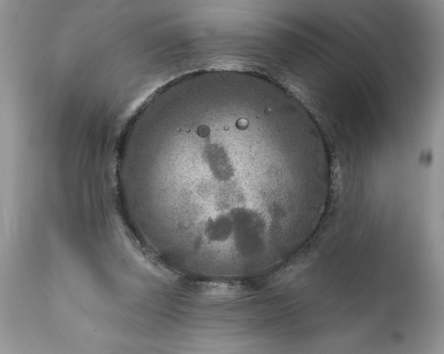 X0000111790347200907301150