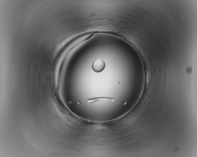 X0000111790348200907301150