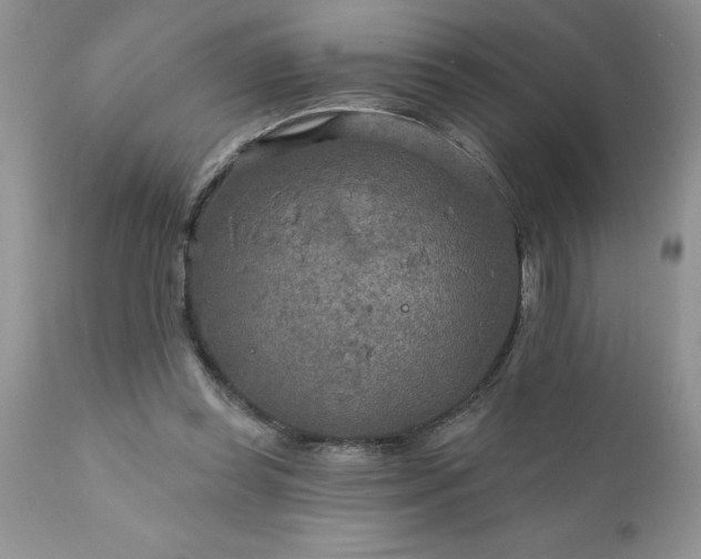 X0000111790349200907301150