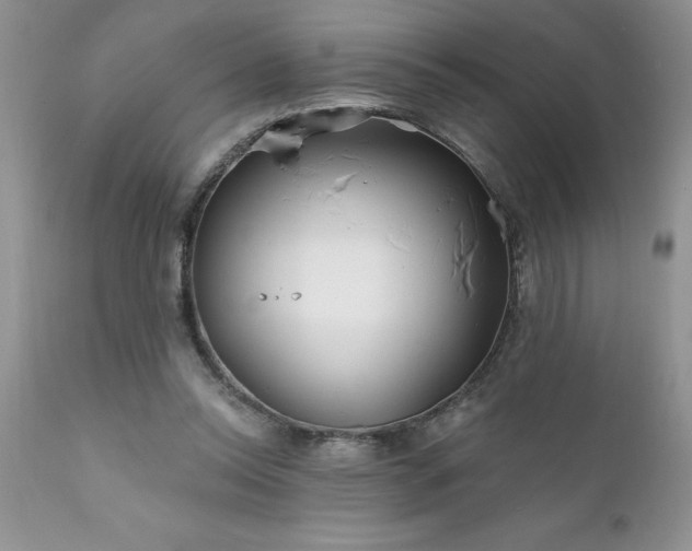 X0000111790350200907301150