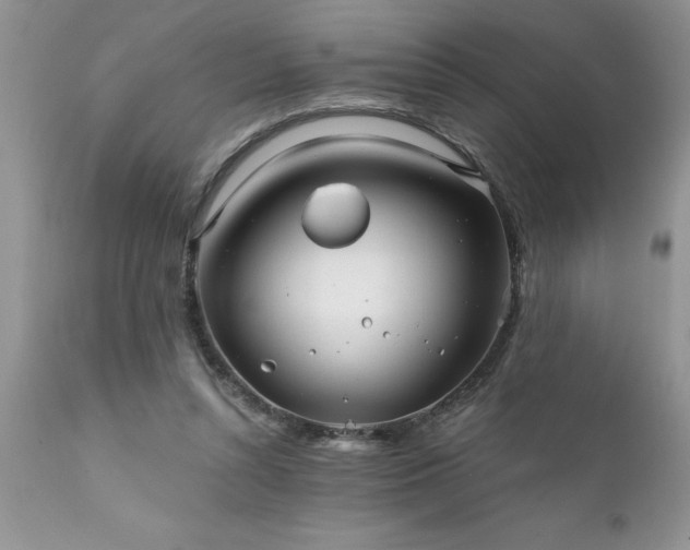 X0000111790352200907301150